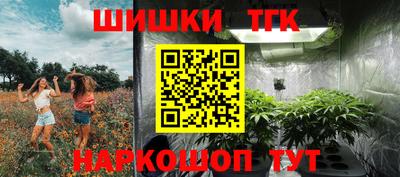 крисы Гусев