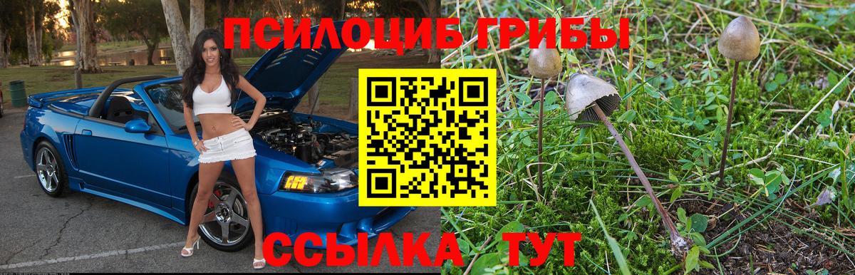 Псилоцибиновые грибы MAGIC MUSHROOMS Котлас