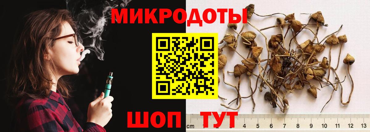 Галлюциногенные грибы Psilocybine cubensis  Вход с VPN  Котлас 